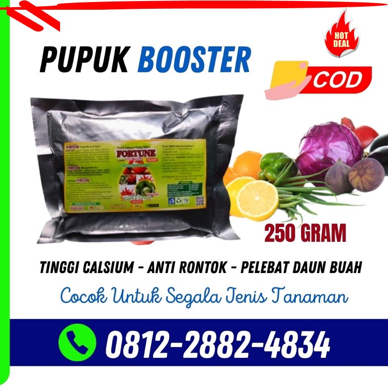 Supplier Pupuk Perangsang Buah Kalimantan Selatan, Suplier Obat Perangsang Buah Banjarmasin, Pusat Pupuk Perangsang Buah Durian Tanah Laut, Distributor Pupuk Perangsang Buah Anggur Pelaihari, Produsen Pupuk Perangsang Buah Alpukat Kotabaru, Pabrik Obat Perangsang Buah Durian Kotabaru, Agen Obat Perangsang Buah Mangga Banjar, Harga Obat Perangsang Buah Cabe Martapura, Grosir Perangsang Buah Alpukat Barito Kuala, Jual Perangsang Buah Alami Marabahan