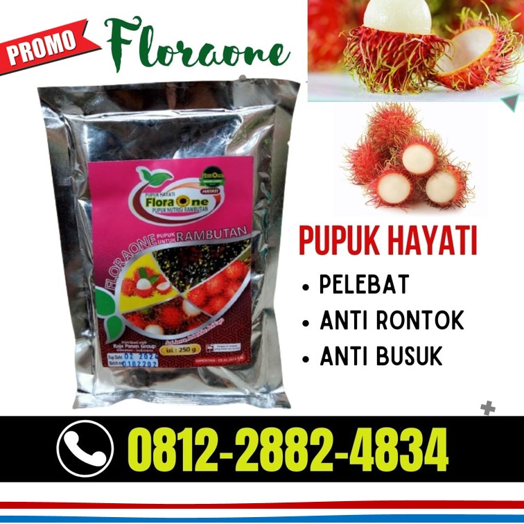 Supplier Pupuk Rambutan Jawa Barat, Suplier Pupuk Rambutan Cepat Berbuah Soreang, Pusat Pupuk Rambutan Agar Cepat Berbuah Bandung Barat, Distributor Pupuk Rambutan Agar Berbuah Lebat Ngamprah, Produsen Pupuk Rambutan Yang Bagus Bekasi