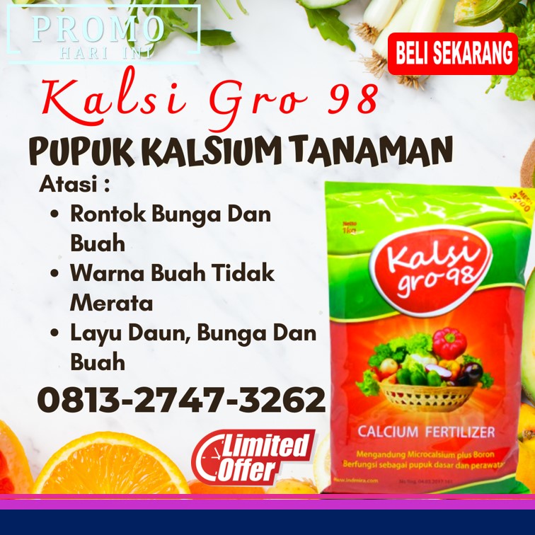 Harga Pupuk Dasar Labu Kuning Kota Medan, Grosir Pupuk Perawatan Cabe Kota Pematang Siantar, Jual Pupuk Perangsang Tanaman Kota Binjai, Supplier Pupuk Kalsium Sumatera Utara