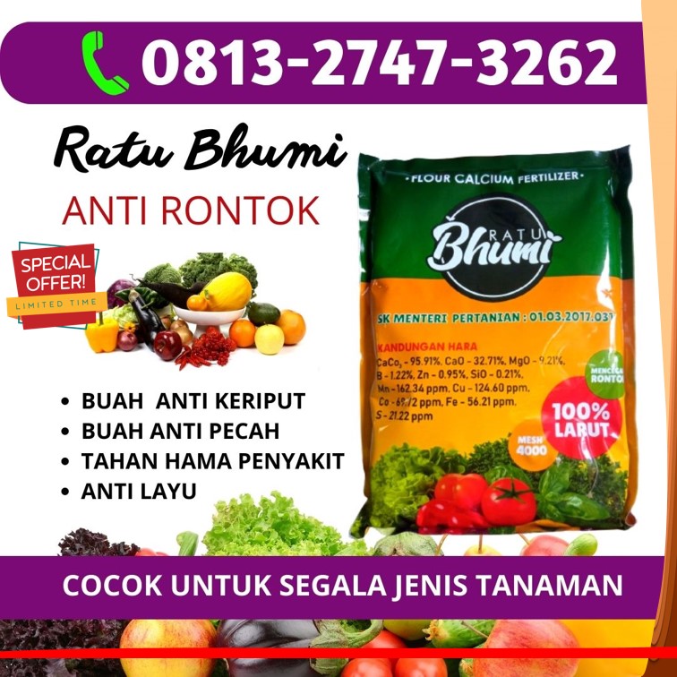 Supplier Pupuk Kalsium Padi Slawi, Suplier Pupuk Pelebat Buah Temanggung, Pusat Obat Pelebat Buah Tomat Temanggung, Distributor Pupuk Pelebat Buah Cabe Wonogiri