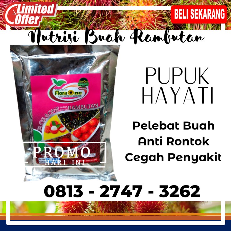 Pusat Booster Rambutan Berbuah Besar Tasikmalaya, Distributor Pupuk Yang Tepat Untuk Rambutan Jawa Barat, Produsen Pupuk Rambutan Hayati Soreang, Pabrik Pupuk Hayati Rambutan Bandung Barat