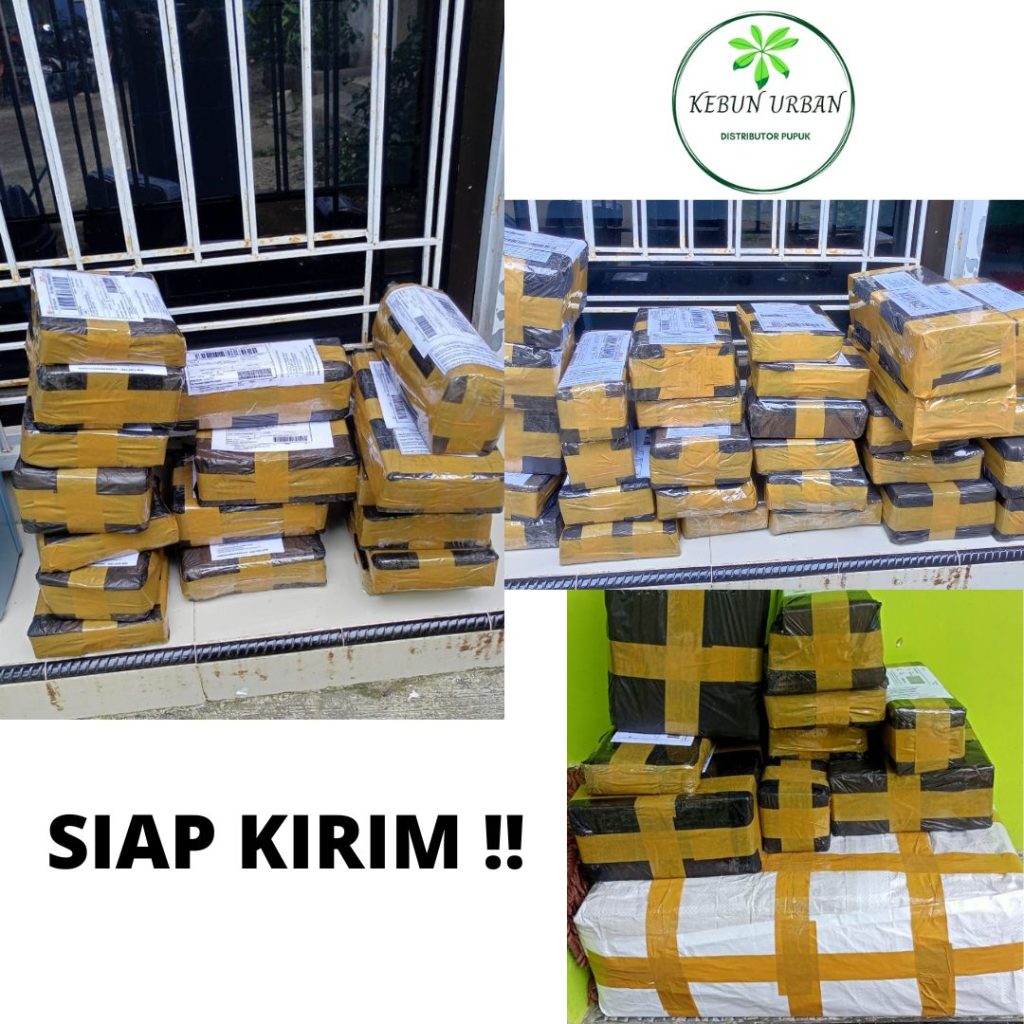 Harga Pupuk Untuk Tanaman Kelengkeng Kota Salatiga, Grosir Pupuk Untuk Tanaman Lengkeng Kota Semarang, Jual Booster Hayati Kelengkeng Kota Surakarta, Supplier Pupuk Kelengkeng Jawa Tengah
