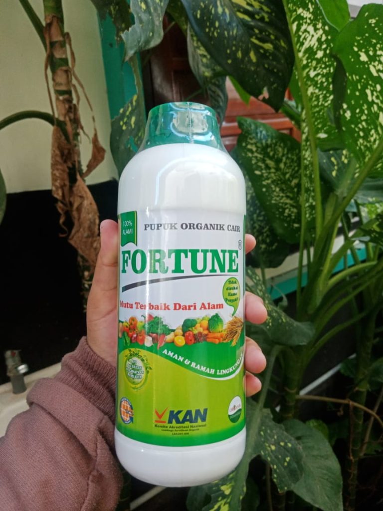 Supplier Pupuk Organik Untuk Hidroponik Andoolo, Supplier Pupuk Organik Untuk Hidroponik Andoolo, Suplier Pupuk Organik Untuk Sayuran Bombana