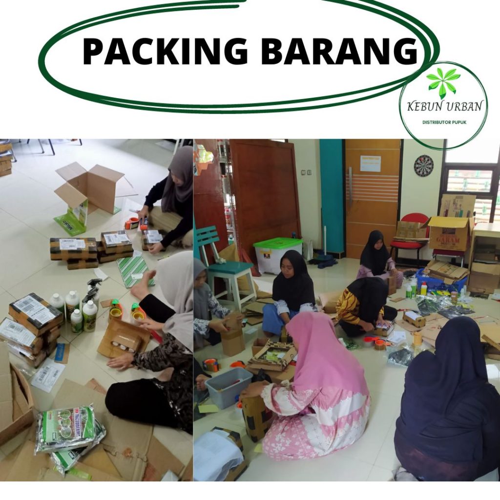 Distributor Paket Obat Perangsang Tanaman Cabe Pemalang, Produsen Pupuk Perangsang Akar Tanaman Cabe Kota Pekalongan, Pabrik Obat Cabe Cegah Antraknosa Purworejo, Agen Paket Obat Cabe Anti Hama Rembang