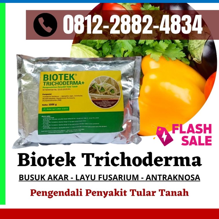 Agen Fungisida Layu Fusarium Kota Jantho, Harga Obat Fungisida Untuk Cabe Aceh Jaya, Grosir Fungisida Padi Musim Hujan Calang, Jual Fungisida Terbaik Aceh Selatan