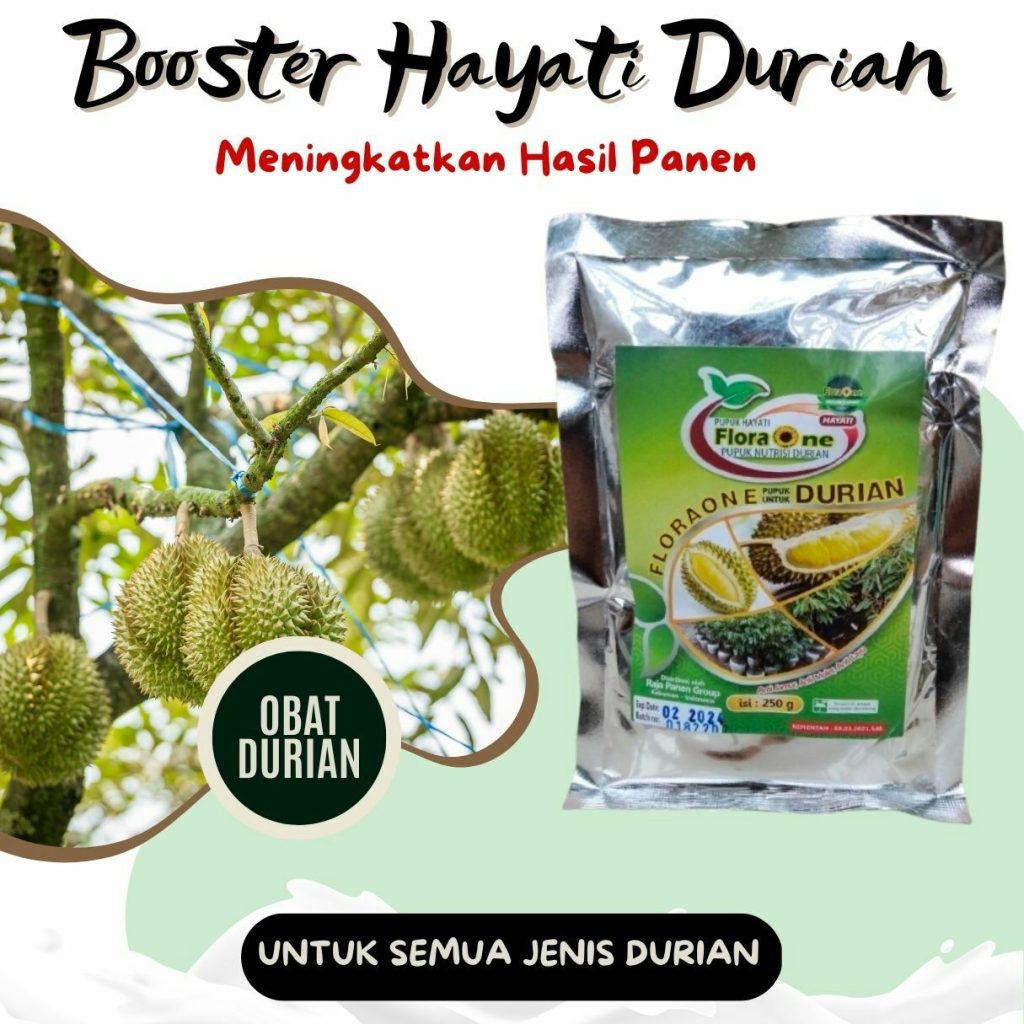 Agen Obat Perangsang Durian Kepahiang, Harga Obat Pohon Durian Bengkulu Tengah, Grosir Obat Penguat Bunga Durian Karang Tinggi