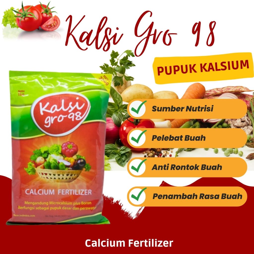 Distributor Pupuk Pembesar Ubi Jalar Simpang Ampek, Produsen Pupuk Pembesar Buah Jagung Kota Padang, Pabrik Pupuk Pembesar Buah Jeruk Kota Solok