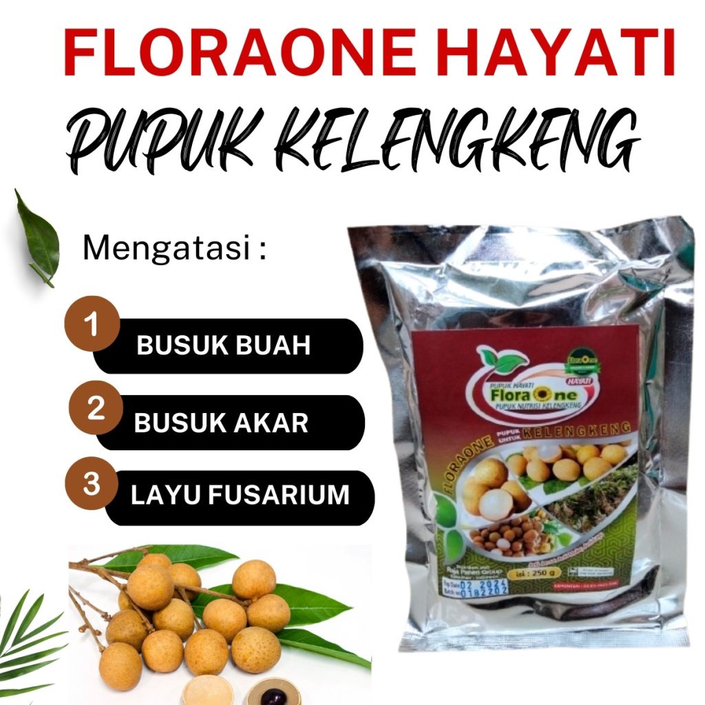 Distributor Pupuk Pohon Kelengkeng Muna Barat, Produsen Pupuk Klengkeng Sawerigadi, Pabrik Pupuk Kelengkeng Matalada Buton Tengah