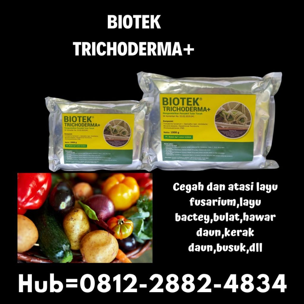  Pabrik Fungisida Jagung Aceh Besar, Agen Fungisida Layu Fusarium Kota Jantho, Harga Obat Fungisida Untuk Cabe Aceh Jaya, Grosir Fungisida Padi Musim Hujan Calang
