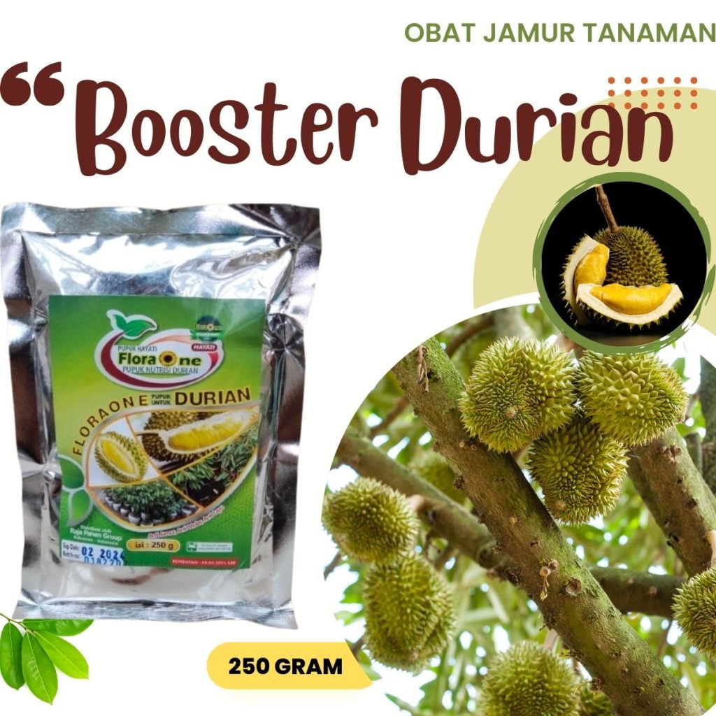 Supplier Obat Jamur Durian Mukomuko, Suplier Obat Jamur Pada Pohon Durian Mukomuko, Distributor Obat Jamur Batang Durian Lebong
