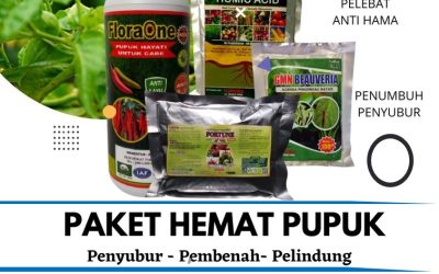 PROMO! 0812-2882-4834 Supplier Paket Perangsang Cabe Lampung, Suplier Paket Obat Perangsang Cabe Lampung Selatan, Pusat Obat Perangsang Buah Cabe Kalianda