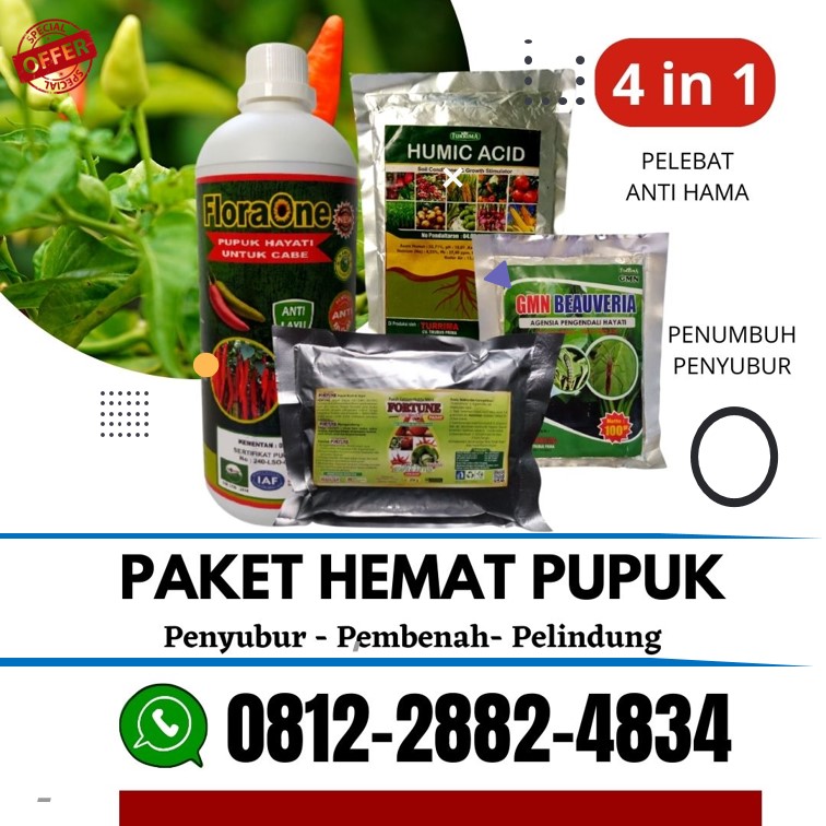 Supplier Paket Perangsang Cabe Lampung, Suplier Paket Obat Perangsang Cabe Lampung Selatan, Pusat Obat Perangsang Buah Cabe Kalianda, Distributor Perangsang Buah Cabe Alami Lampung Tengah, Produsen Paket Perangsang Tunas Cabe Gunung Sugih, Pabrik Pupuk Pelebat Buah Cabe Kotabumi, Agen Paket Obat Pelebat Buah Cabe Lampung Barat, Harga Pelebat Buah Cabe Rawit Liwa, Grosir Pupuk Cabe Anti Keriting Daun Tulang Bawang, Jual Paket Pupuk Booster Cabai Tanggamus