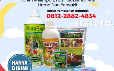 PROMO! 0812-2882-4834 Supplier Paket Pupuk Durian Jawa Tengah, Suplier Paket Pupuk Durian Pasca Panen Semarang, Pusat Paket Pupuk Organik Durian Banjarnegara