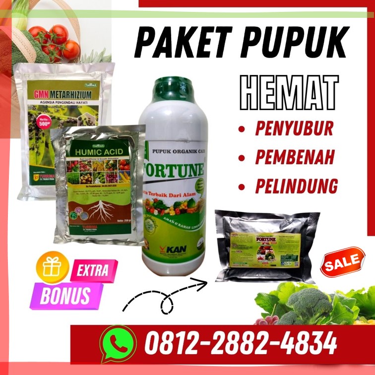 Supplier Paket Pupuk Mangga Pacitan, Suplier Paket Pupuk Mangga Cepat Berbuah Pamekasan, Pusat Paket Pupuk Mangga Berbuah Lebat Bangil, Distributor Pupuk Mangga Cepat Berbuah Ponorogo, Produsen Paket Pupuk Alami Mangga Probolinggo, Pabrik Pupuk Buah Mangga Agar Tidak Rontok Kraksaan, Agen Pupuk Pohon Mangga Tabulampot Sidoarjo, Harga Pupuk Pohon Mangga Agar Cepat Besar Situbondo, Grosir Paket Pupuk Mangga Booster Sumenep, Jual Pupuk Mangga Berbunga Trenggalek