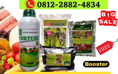 TERLARIS! 0812-2882-4834 Supplier Paket Pupuk Untuk Cabai Kota Padang, Suplier Paket Pupuk Untuk Cabe Kota Solok, Pusat Paket Pupuk Cabai Kota Sawahlunto