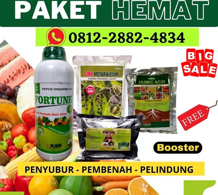 TERLARIS! 0812-2882-4834 Supplier Paket Pupuk Untuk Cabai Kota Padang, Suplier Paket Pupuk Untuk Cabe Kota Solok, Pusat Paket Pupuk Cabai Kota Sawahlunto