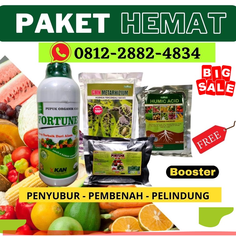 Supplier Paket Pupuk Untuk Cabai Kota Padang, Suplier Paket Pupuk Untuk Cabe Kota Solok, Pusat Paket Pupuk Cabai Kota Sawahlunto, Distributor Paket Pupuk Booster Cabe Kota Padangpanjang, Produsen Paket Pupuk Pelebat Buah Cabai Kota Bukittinggi,