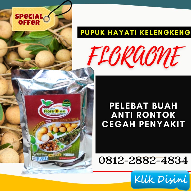 Supplier Pupuk Kelengkeng Jawa Tengah, Suplier Pupuk Kelengkeng Agar Cepat Berbuah Semarang, Pusat Pupuk Kelengkeng Cepat Berbuah Banjarnegara, Distributor Pupuk Kelengkeng Saat Berbunga Banyumas,