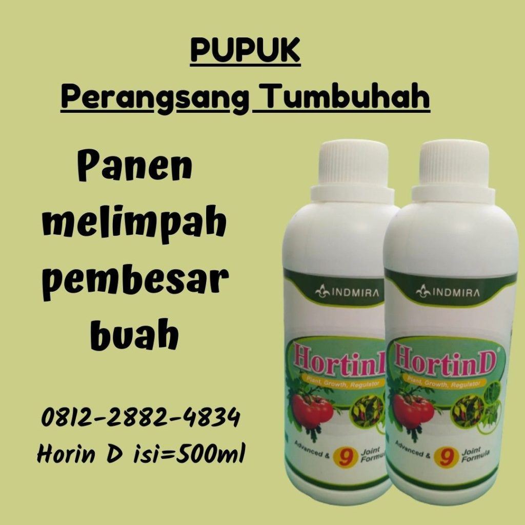  Supplier Pupuk Pembesar Bunga Kol Surabaya, Suplier Pupuk Pembesar Buah Kol Bangkalan, Pusat Pupuk Pembesar Melon Banyuwangi, Distributor Pupuk Pembesar Bawang Merah Blitar, 