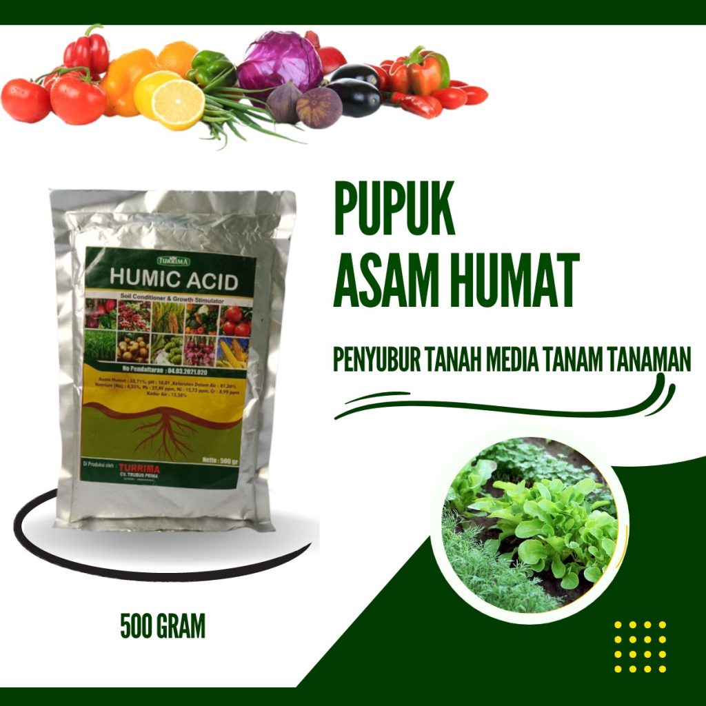 Toko Asam Humat Untuk Tanah Demak, Supplier Asam Humat Terbaik Purwodadi, Suplier Pupuk Asam Humat Jepara