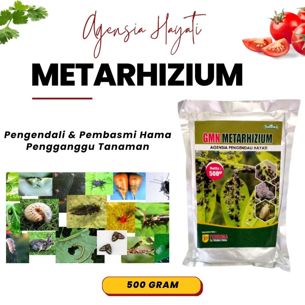 Toko Insektisida Kutu Putih Parit Malintang, Supplier Insektisida Walang Sangit Agam, Suplier Insektisida Wereng Coklat Lubuk Basung