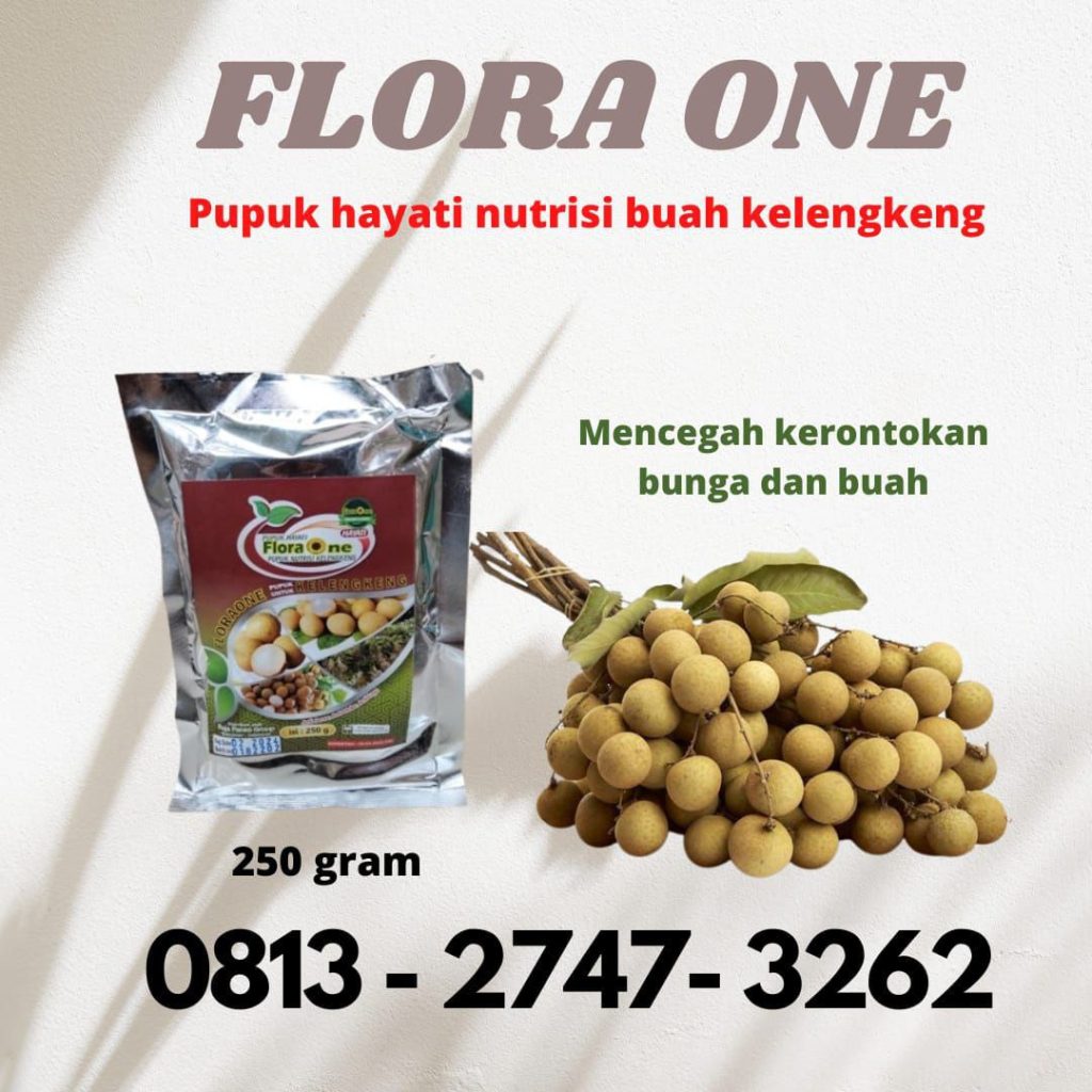 Toko Obat Perangsang Pohon Kelengkeng Andoolo, Supplier Obat Tanaman Kelengkeng Bombana, Suplier Obat Untuk Kelengkeng Rumbia, Pusat Pupuk Untuk Kelengkeng Merah Wakatobi