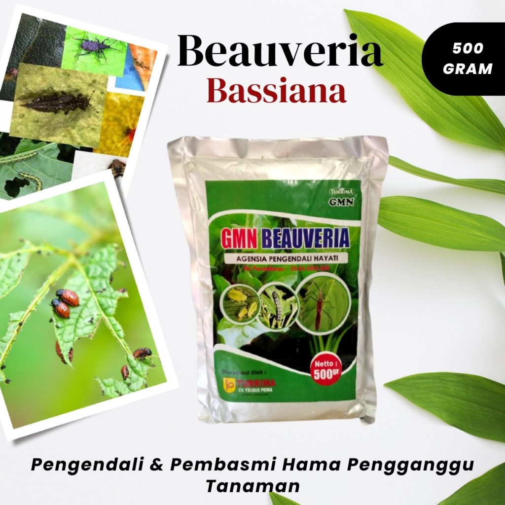 Toko Pengendalian Hama Thrips Parit Malintang, Supplier Pengendalian Hama Ulat Agam, Suplier Pengendali Hama Wereng Lubuk Basung