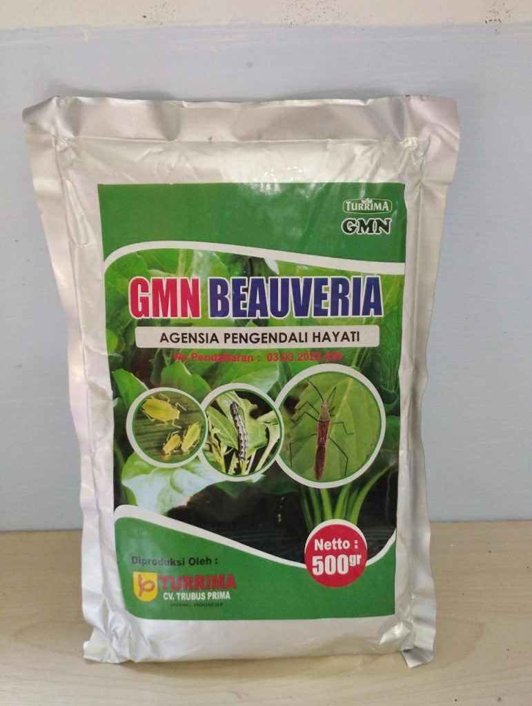 Toko Pengendalian Hama Thrips Parit Malintang, Supplier Pengendalian Hama Ulat Agam, Suplier Pengendali Hama Wereng Lubuk Basung