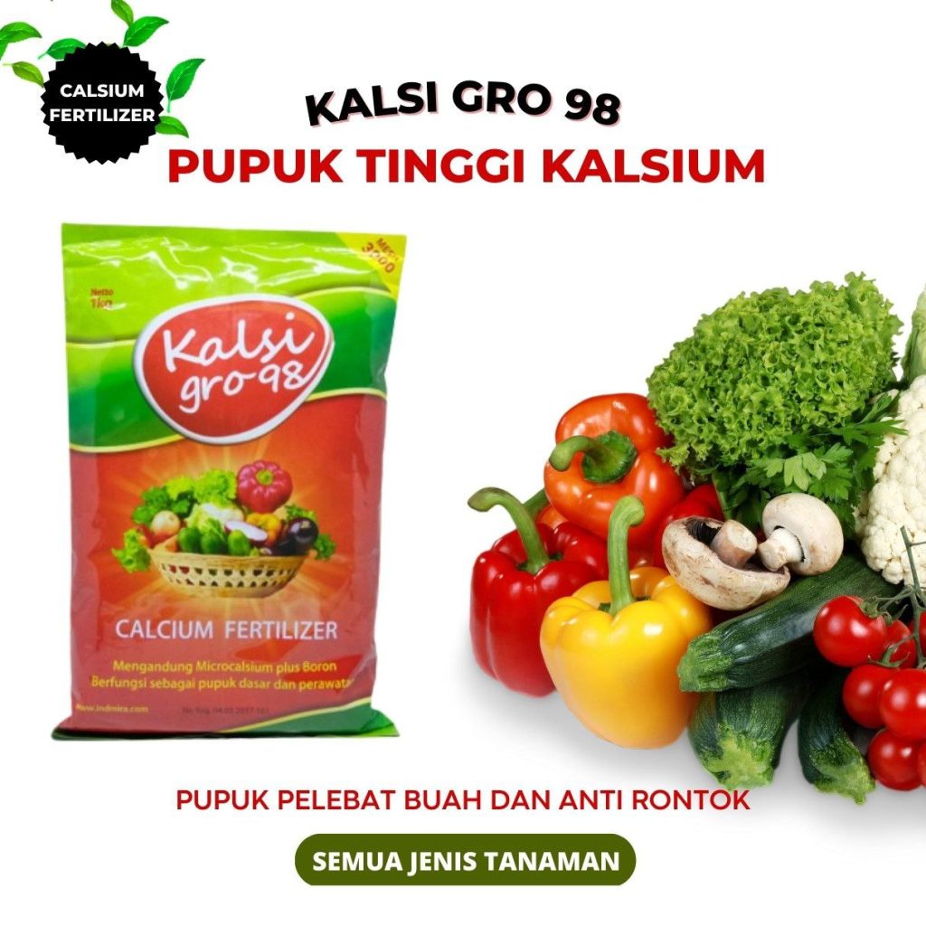 Toko Pupuk Anti Rontok Buah Padang Pariaman, Supplier Pupuk Pembesar Buah Semangka Inul Parit Malintang, Suplier Pupuk Calsium Pembesar Buah Agam