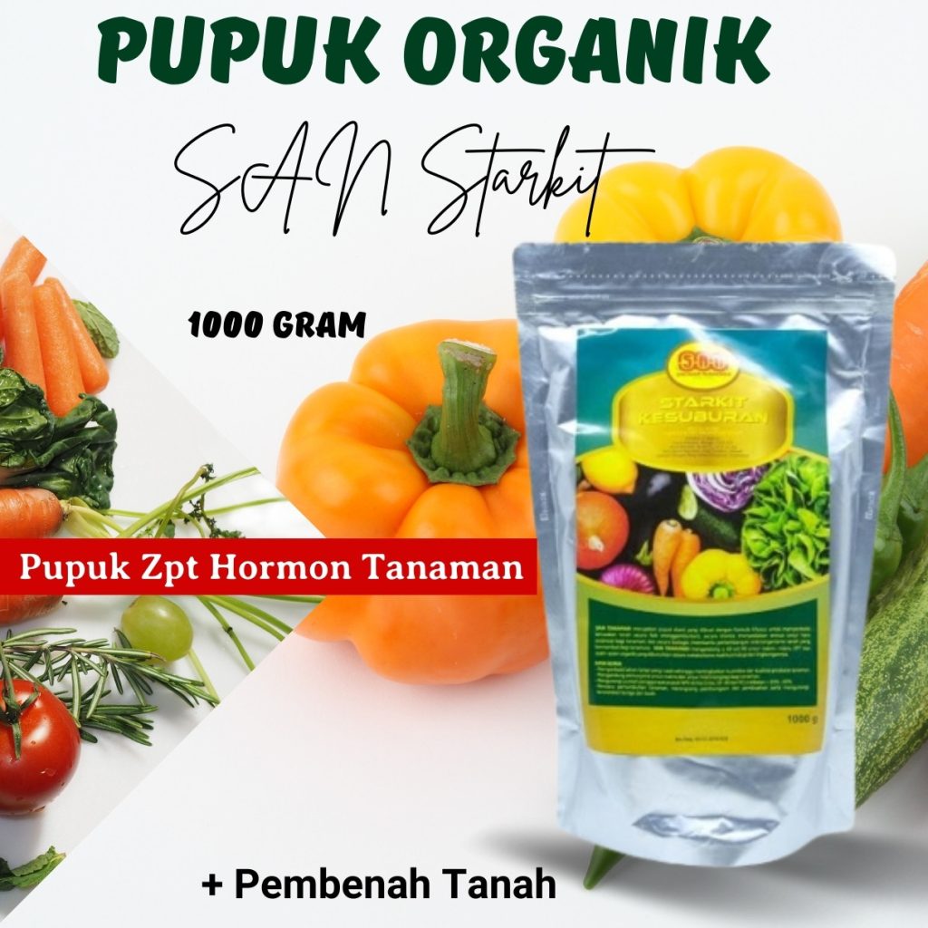 Toko Pupuk Buah Anggur Agar Cepat Berbuah Tanjung Jabung Barat, Supplier Pupuk Buah Alpukat Agar Cepat Berbuah Kuala Tungkal, Suplier Pupuk Buah Alami Tanjung Jabung Timur