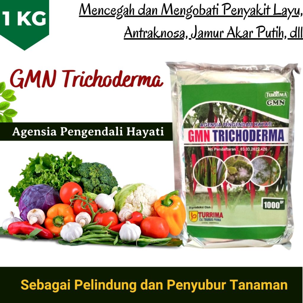 Toko Trichoderma Untuk Pepaya Parit Malintang, Supplier Trichoderma Untuk Penyakit Agam, Suplier Trichoderma Untuk Tanaman Lubuk Basung