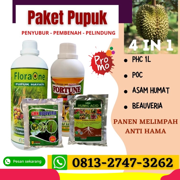 Distributor Paket Obat Jamur Pohon Durian Lebong, Produsen Paket Obat Perangsang Durian Muara Aman, Pabrik Obat Anti Rontok Buah Durian Kepahiang, Agen Paket Obat Stek Durian Kepahiang