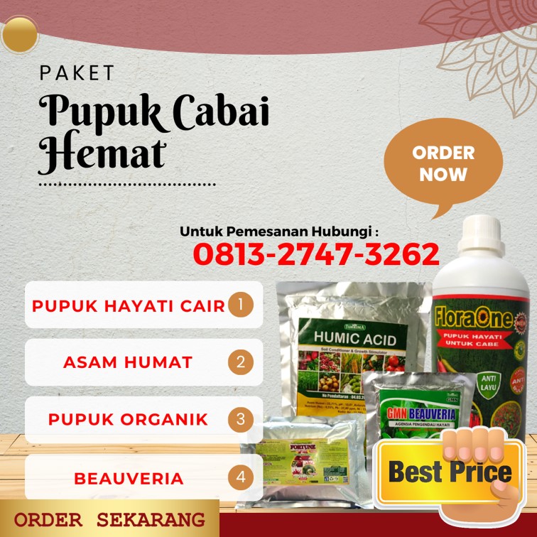 Distributor Paket Obat Perangsang Tanaman Cabe Pemalang, Produsen Pupuk Perangsang Akar Tanaman Cabe Kota Pekalongan, Pabrik Obat Cabe Cegah Antraknosa Purworejo, Agen Paket Obat Cabe Anti Hama Rembang