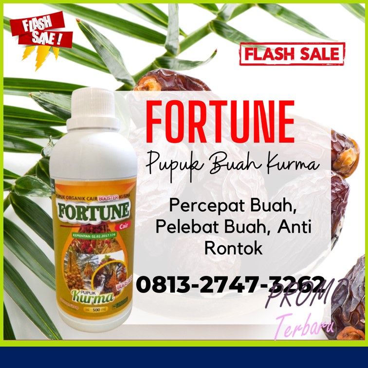 Suplier Pupuk Kurma Berbuah Lebat Pelalawan, Pusat Pupuk Pohon Kurma Agar Cepat Berbuah Pangkalan Kerinci, Distributor Pupuk Buah Kurma Rokan Hulu, Produsen Pupuk Bibit Kurma Rokan Hilir