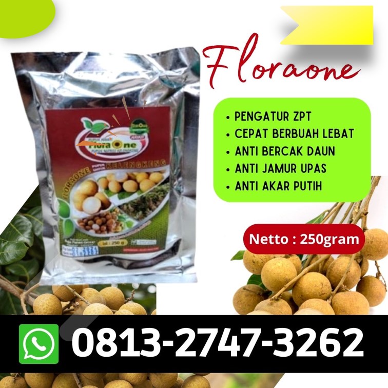 Harga Pupuk Untuk Tanaman Kelengkeng Kota Salatiga, Grosir Pupuk Untuk Tanaman Lengkeng Kota Semarang, Jual Booster Hayati Kelengkeng Kota Surakarta, Supplier Pupuk Kelengkeng Jawa Tengah