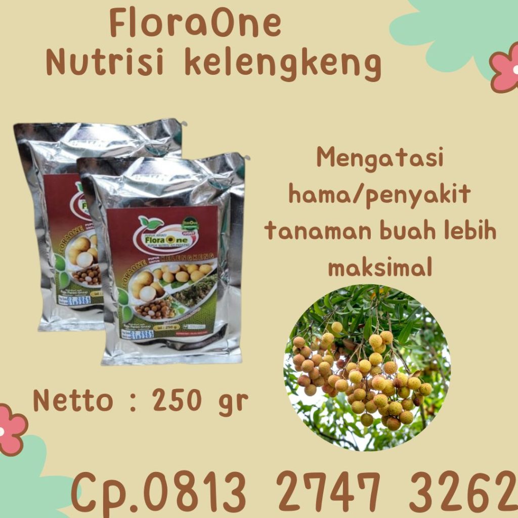 Produsen Pupuk Untuk Buah Kelengkeng Kolaka Utara, Pabrik Pupuk Booster Kelengkeng Lasusua, Agen Pupuk Buah Kelengkeng Konawe Utara, Harga Pupuk Penyubur Kelengkeng Wanggudu, Grosir Pupuk Tanaman Kelengkeng Buton Utara, Jual Pupuk Lengkeng Buranga, Toko Pupuk Booster Lengkeng Kolaka Timur, Supplier Pupuk Bunga Kelengkeng Tirawuta, Suplier Pupuk Kelengkeng Matalada Konawe Kepulauan, Pusat Pupuk Penyubur Kelengkeng Langara
