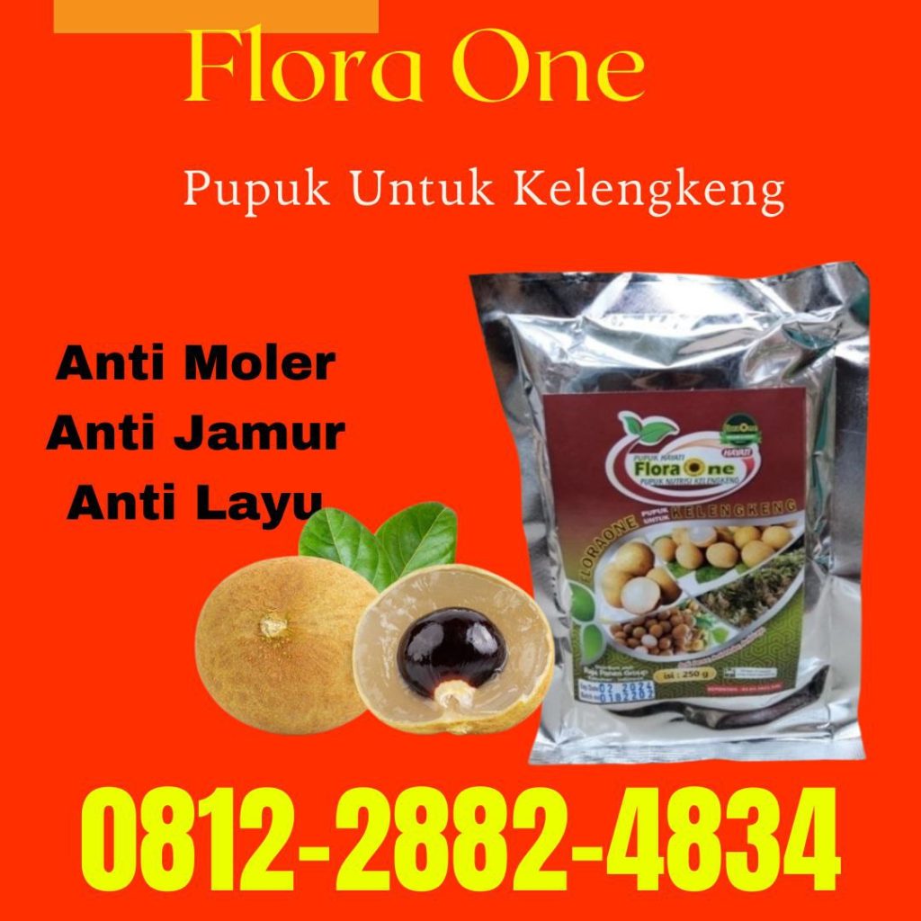 Supplier Obat Kelengkeng Sulawesi Tenggara, Suplier Obat Kelengkeng Cepat Berbuah Kolaka, Pusat Obat Kelengkeng Agar Tidak Rontok Kolaka