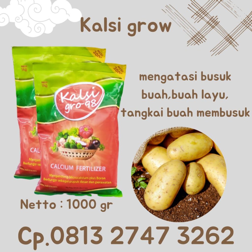 Produsen Pupuk Kalsium Boron Pembesar Buah Jagung Sarilamak, Pabrik Pupuk Untuk Pembesar Buah Singkong Pasaman, Agen Pupuk Pelebat Buah Tomat Lubuk Sikaping, Harga Pupuk Pelebat Buah Cabe Kepulauan Mentawai, Grosir Pupuk Tinggi Kalsium Pembesar Umbi Tuapejat, Jual Pupuk Pembesar Buah Cabe Dharmasraya, Toko Pupuk Pembesar Buah Cabe Rawit Pulau Punjung, Supplier Pupuk Pembesar Buah Durian Solok Selatan, Suplier Pupuk Pembesar Jagung Padang Aro, Pusat  Pupuk Pembesar Rimpang Jahe Pasaman Barat
