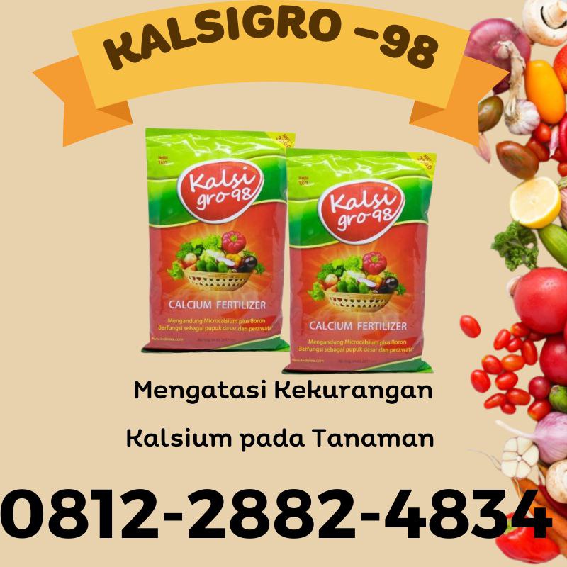  Supplier Pupuk Pembesar Buah Sumatera Barat, Suplier Pupuk Pembesar Buah Anggur Padang, Pusat  Pupuk Pembesar Buah Alpukat Pesisir Selatan