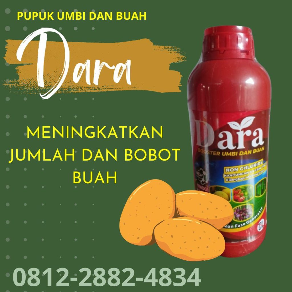 upplier Pupuk Kalsium Cair Lampung Selatan, Suplier Pupuk Cair Kalsium Tinggi Kalianda, Distributor Pupuk Kalsium Lampung Tengah 