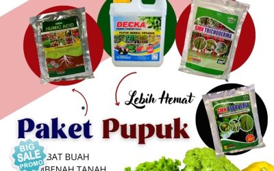 DISKON! 0812-2882-4834 Suplier Obat Penyubur Tanaman Cabe Palabuhanratu, Pusat Paket Obat Tanaman Kutu Putih Sumedang, Distributor Paket Obat Tanaman Hias Tasikmalaya