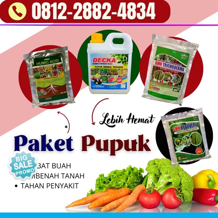 Suplier Obat Penyubur Tanaman Cabe Palabuhanratu, Pusat Paket Obat Tanaman Kutu Putih Sumedang, Distributor Paket Obat Tanaman Hias Tasikmalaya, Produsen Paket Obat Tanaman Agar Cepat Berbuah Singaparna, Pabrik Paket Obat Tanaman Anggur Banjar, Agen Paket Obat Tanaman Anti Ulat Bekasi, Harga Paket Obat Tanaman Alami Bogor, Grosir Paket Obat Perangsang Akar Tanaman Cimahi, Jual Paket Obat Tanaman Bawang Merah Cirebon, Supplier Paket Pupuk Tanaman Bunga Depok