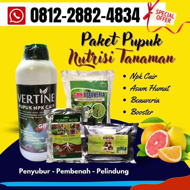 Suplier Paket Pupuk Untuk Sawit Semarang, Pusat Paket Pupuk Untuk Cabe Banjarnegara, Distributor Paket Pupuk Cabe Banyumas, Produsen Paket Pupuk Anggur Purwokerto, Pabrik Paket Pupuk Padi Batang, Agen Paket Pupuk Untuk Buah Blora, Harga Paket Pupuk Untuk Cabe Boyolali, Grosir Paket Pupuk Untuk Alpukat Brebes, Jual Paket Pupuk Untuk Anggur Cilacap, Supplier Paket Pupuk Untuk Akar Dan Batang Demak