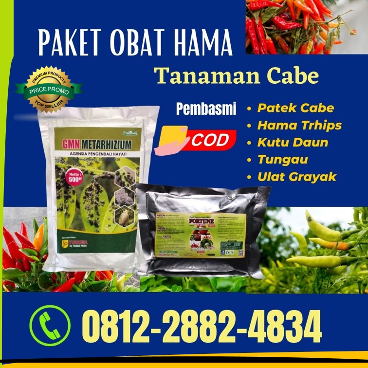Supplier Obat Cabe Jambi, Suplier Obat Cabe Keriting Kerinci, Pusat Obat Cabe Rontok Siulak, Distributor Obat Cabe Busuk Batang Merangin, Produsen Obat Cabe Daun Keriting Bangko, Pabrik Obat Cabe Paling Bagus Sarolangun, Agen Obat Cabe Agar Berbuah Lebat Sarolangun, Harga Obat Cabe Anti Keriting Batanghari, Grosir Obat Cabe Anti Rontok Muara Bulian, Jual Obat Cabe Busuk Kering Muaro Jambi