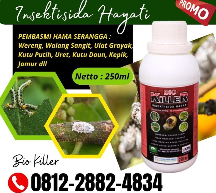 PROMO! 0812-2882-4834, Distributor Obat Ulat Banda Aceh, Produsen Obat Ulat Bulu Aceh Barat, Pabrik Obat Ulat Padi Meulaboh
