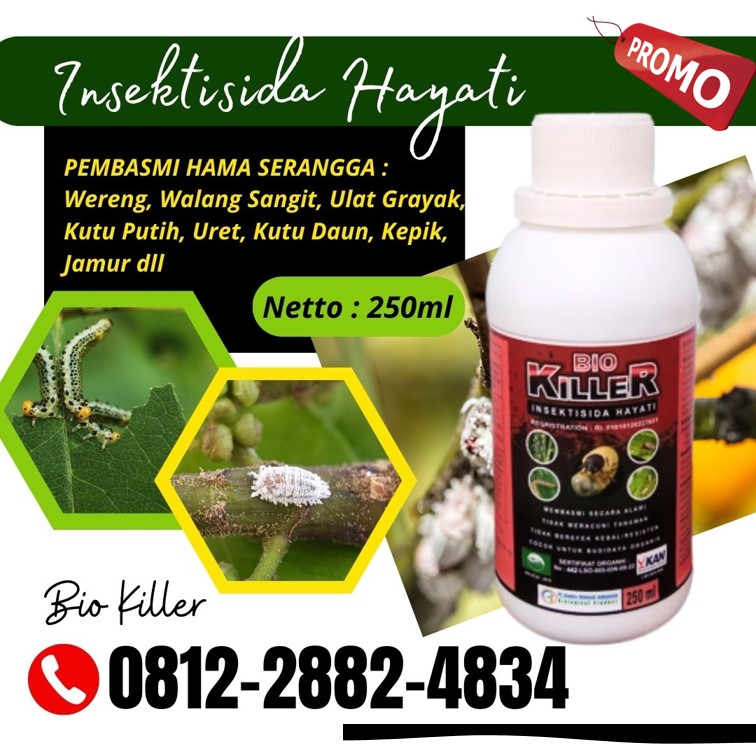 Distributor Obat Ulat Banda Aceh, Produsen Obat Ulat Bulu Aceh Barat, Pabrik Obat Ulat Padi Meulaboh, Agen Obat Ulat Cabe Paling Ampuh Aceh Barat Daya, Harga Obat Ulat Daun Blangpidie, Grosir Obat Ulat Paling Ampuh Aceh Besar, Jual Obat Ulat Alpukat Kota Jantho, Supplier Obat Ulat Alami Aceh Jaya, Suplier Obat Ulat Ampuh Calang, Pusat Obat Ulat Jagung Paling Ampuh Aceh Selatan