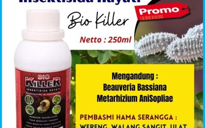 PROMO! 0812-2882-4834, Pusat Obat Ulat Grayak Pada Jagung Surabaya, Distributor Obat Hama Ulat Bangkalan, Produsen Obat Hama Ulat Padi Paling Ampuh Banyuwangi