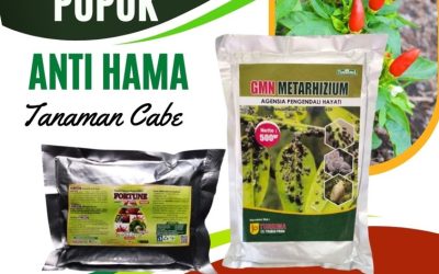 PROMO! 0812-2882-4834 Supplier Obat Cabai Rontok Jawa Tengah, Suplier Obat Cabai Rawit Semarang, Pusat Obat Cabe Biar Tidak Rontok Brebes