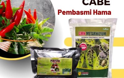 PROMO! 0812-2882-4834 Supplier Obat Cabe Trip Bali, Suplier Obat Untuk Cabai Keriting Badung, Pusat Obat Ulat Cabai Mangupura