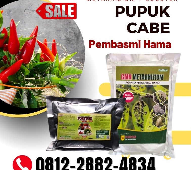 PROMO! 0812-2882-4834 Supplier Obat Cabe Trip Bali, Suplier Obat Untuk Cabai Keriting Badung, Pusat Obat Ulat Cabai Mangupura